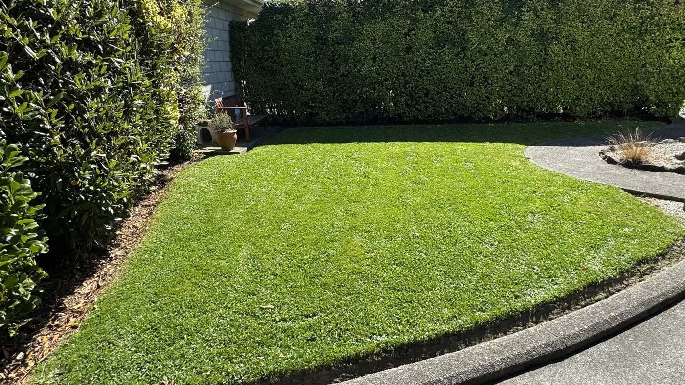 Recent Mike's Mowing job in Christchurch, photo 8