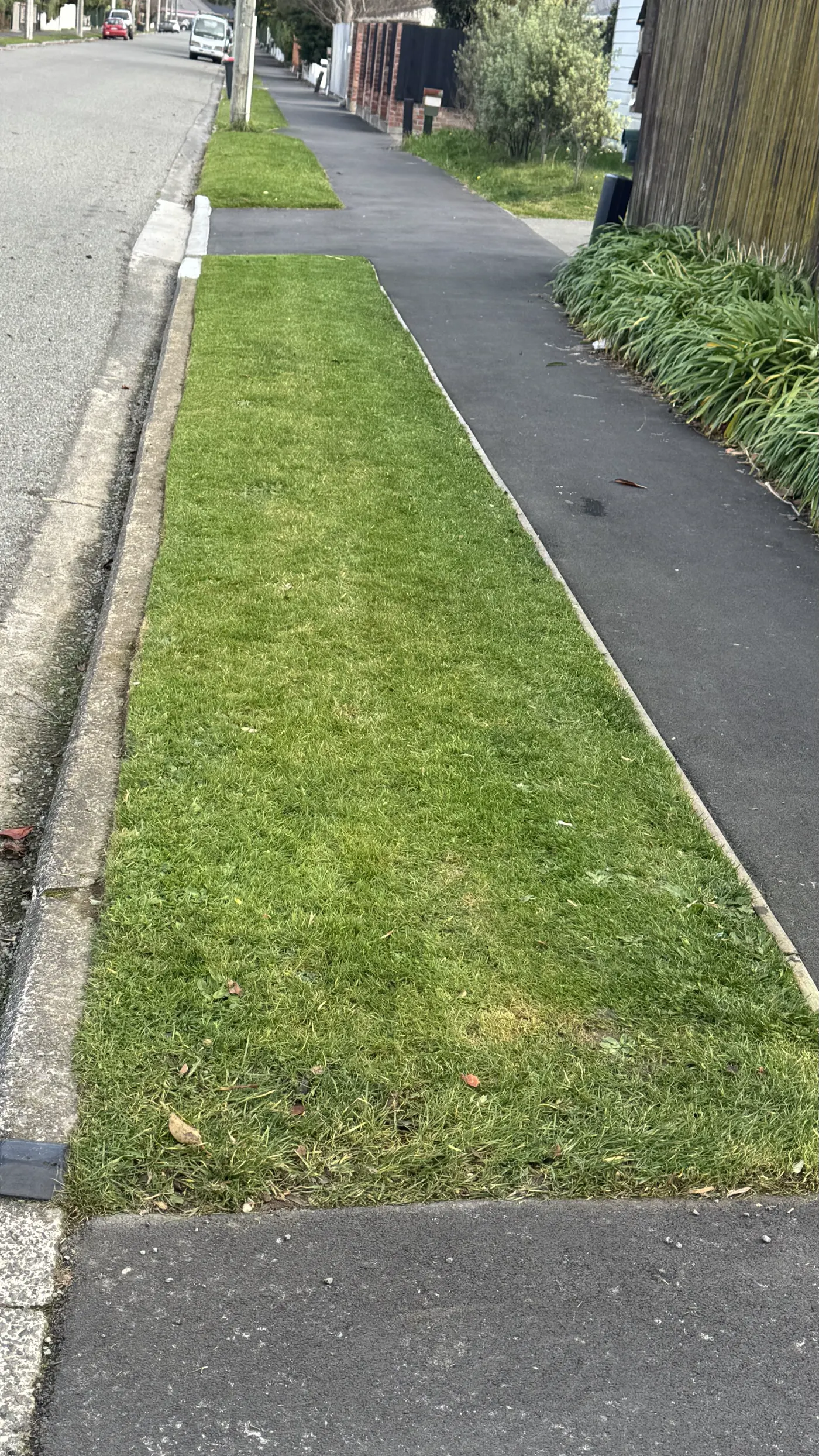 Recent Mike's Mowing job in Christchurch, photo 7