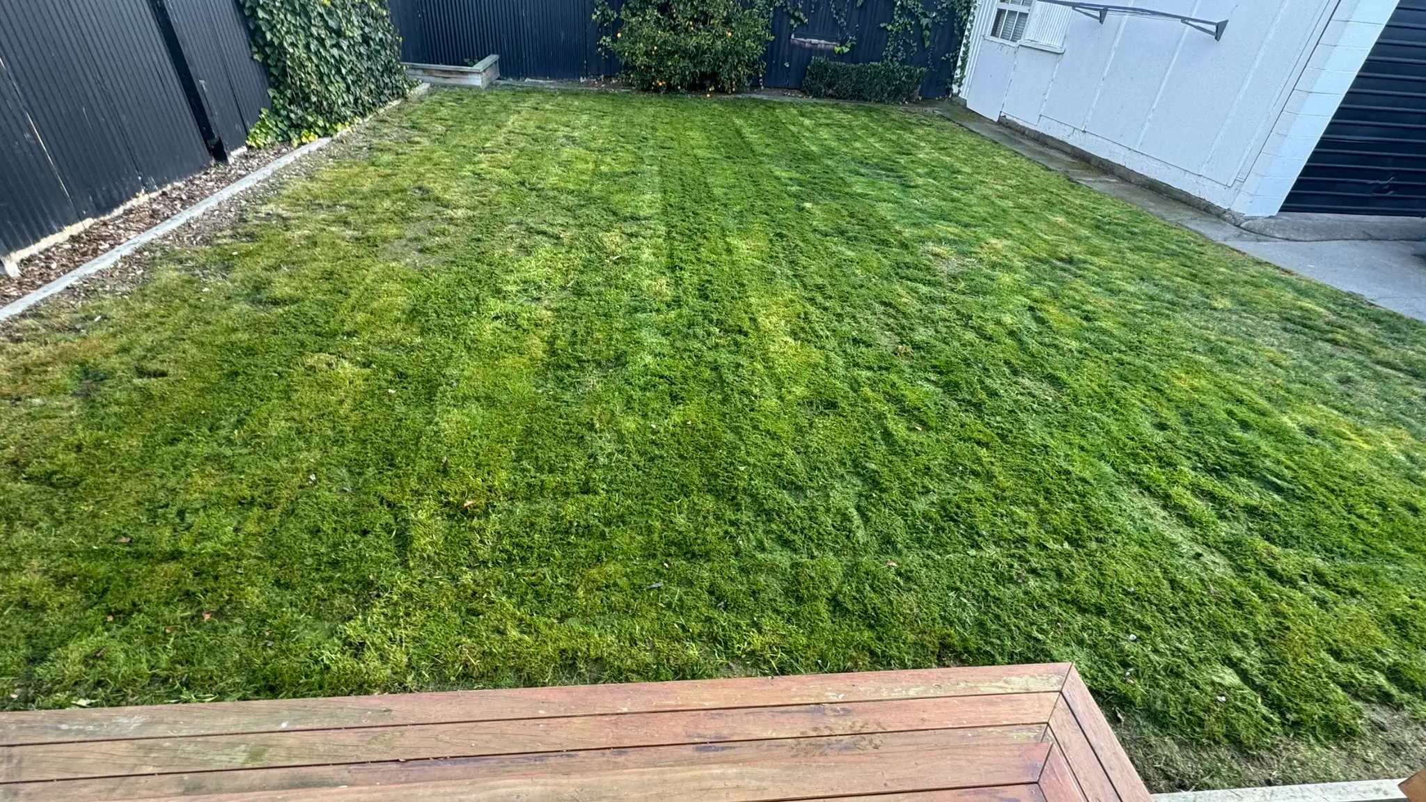 Freshly mown backyard lawn beside a timber deck